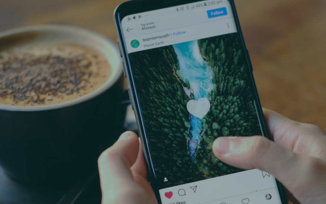 Jak układać siatkę na Instagramie?
